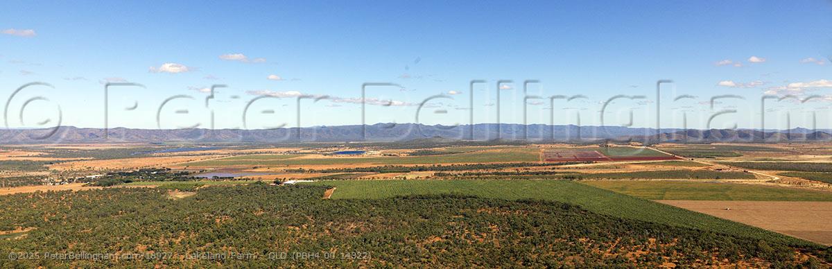 Peter Bellingham Photography Lakeland Farm - QLD (PBH4 00 14322)
